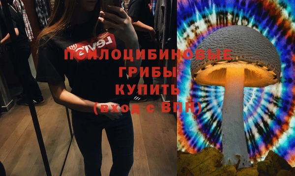 spice Верхний Тагил