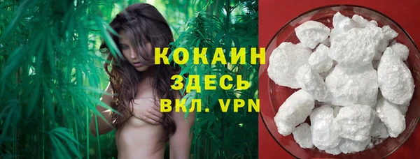 spice Верхний Тагил