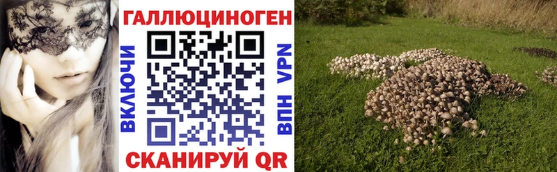 Галлюциногенные грибы ЛСД  гидра зеркало  Чебоксары 